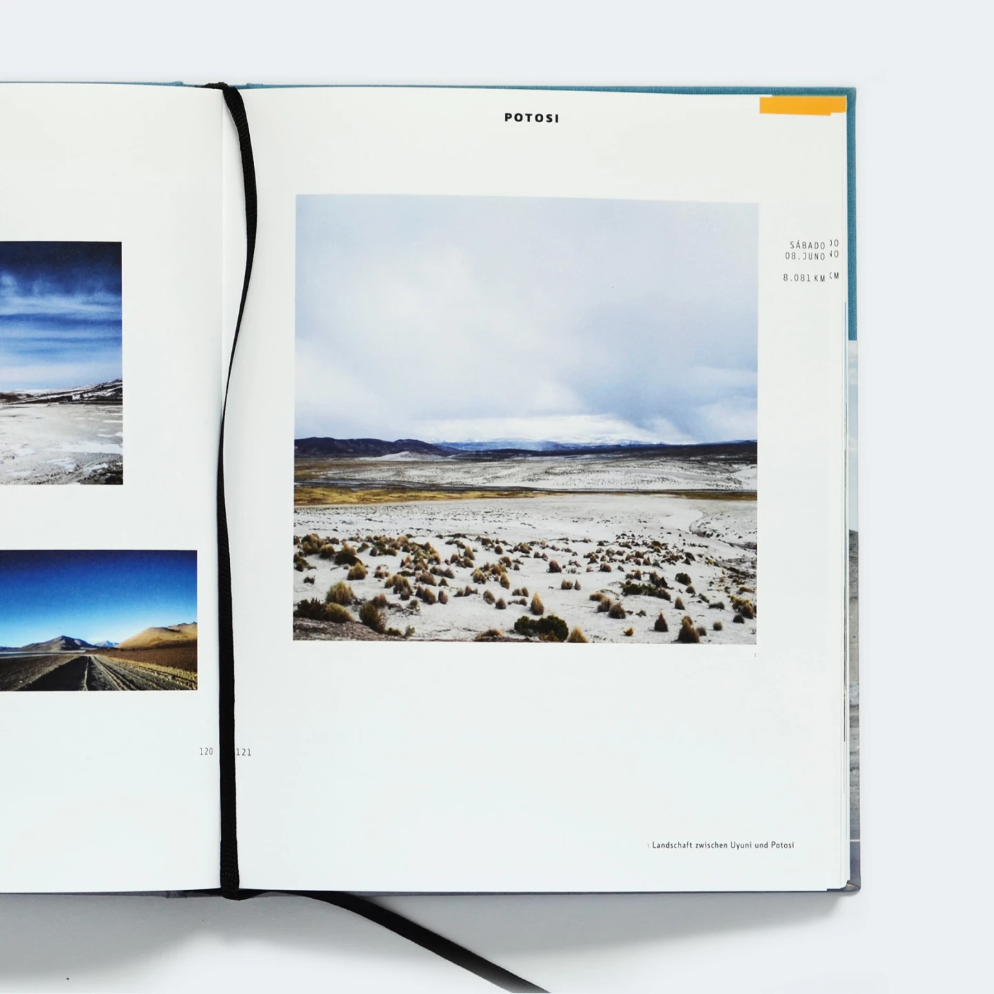Open spread on Potosi, a full-page photograph of tussock grass on the altiplano with the book's ribbon marker lying across the gutter