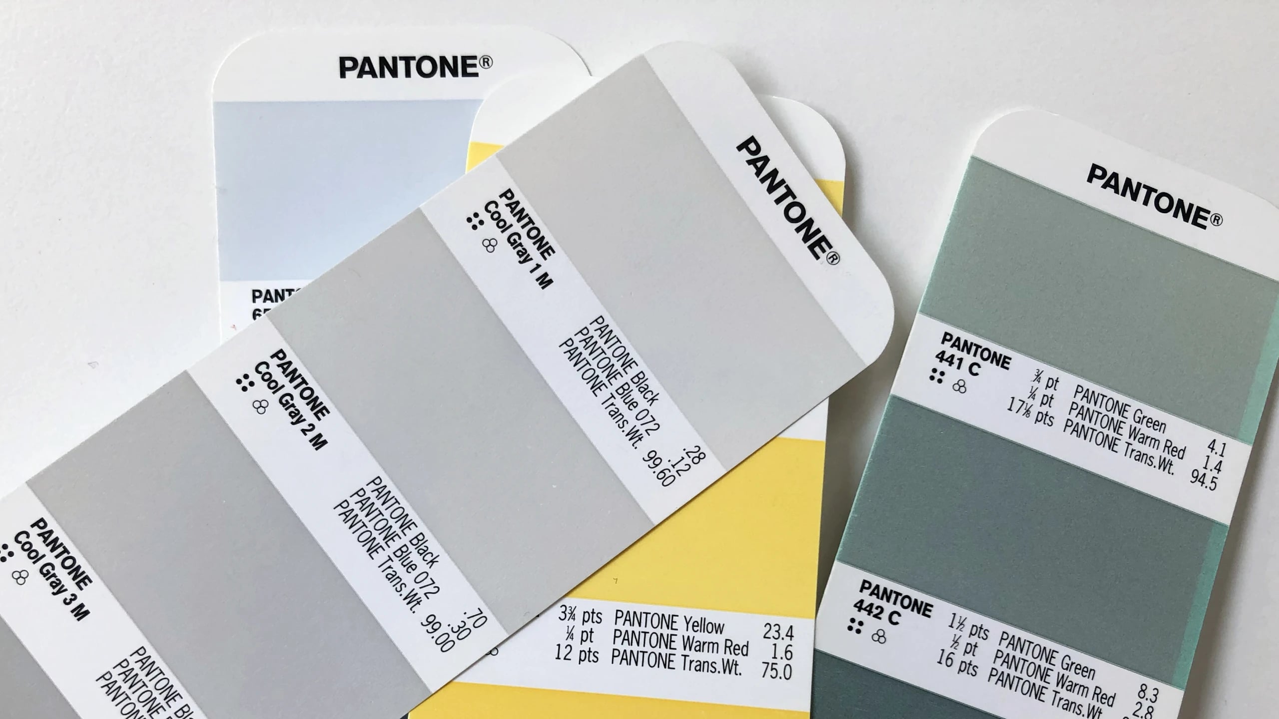 Pantone chip books fanned out across a desk, comparing cool greys, yellow and green-grey for the final colourway